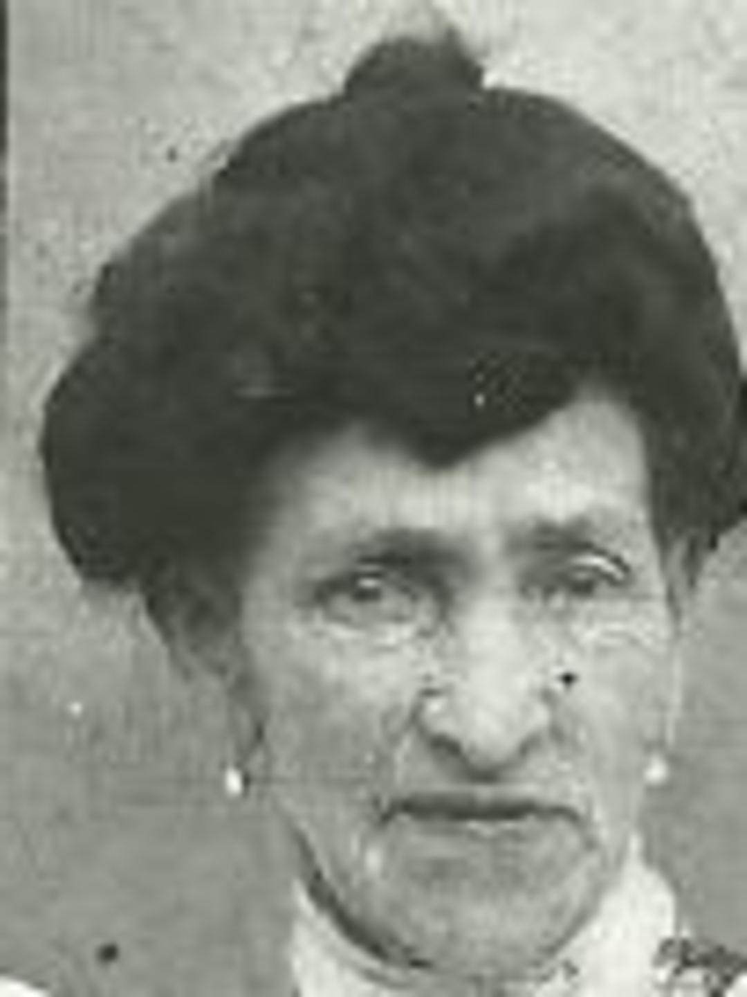 Eleanor Ann Hill (1840 - 1908) Profile